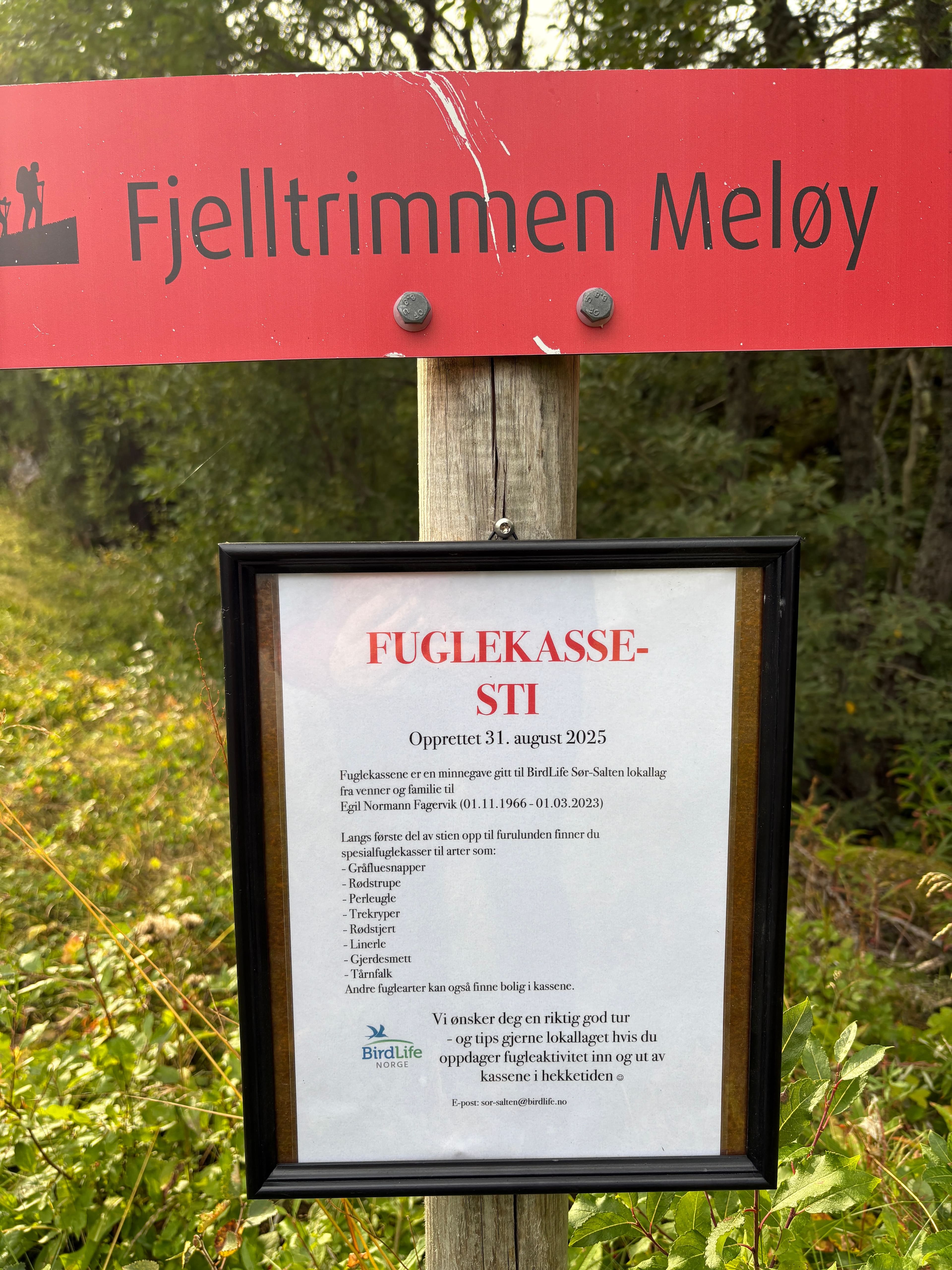 Fuglekassesti - Fagervikdalen