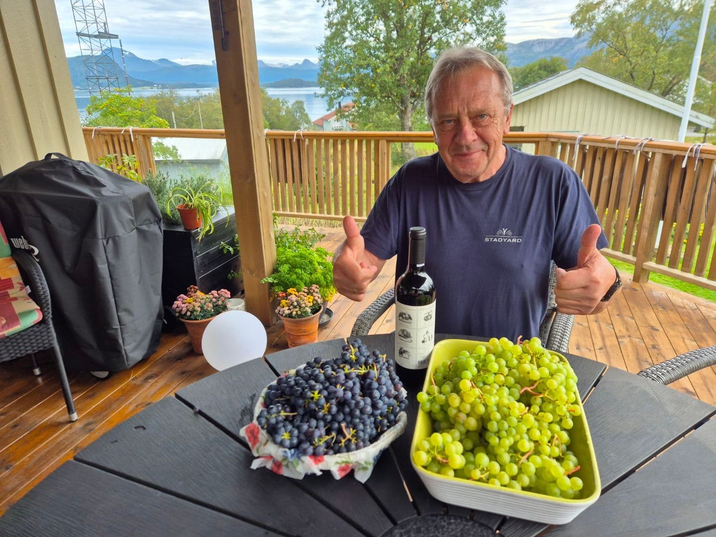 Druehøst på Meløy