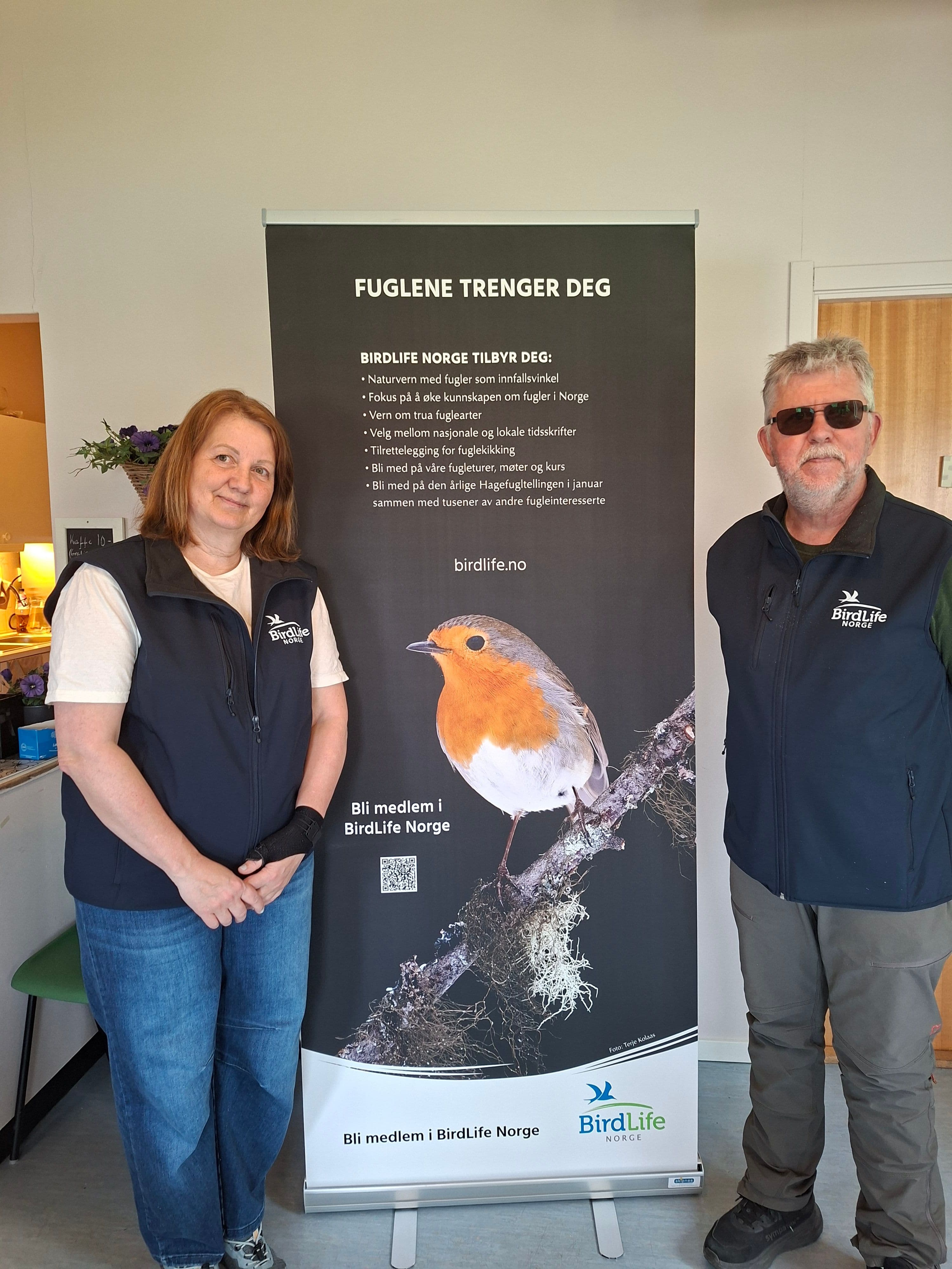 Skån sjøfuglene våre