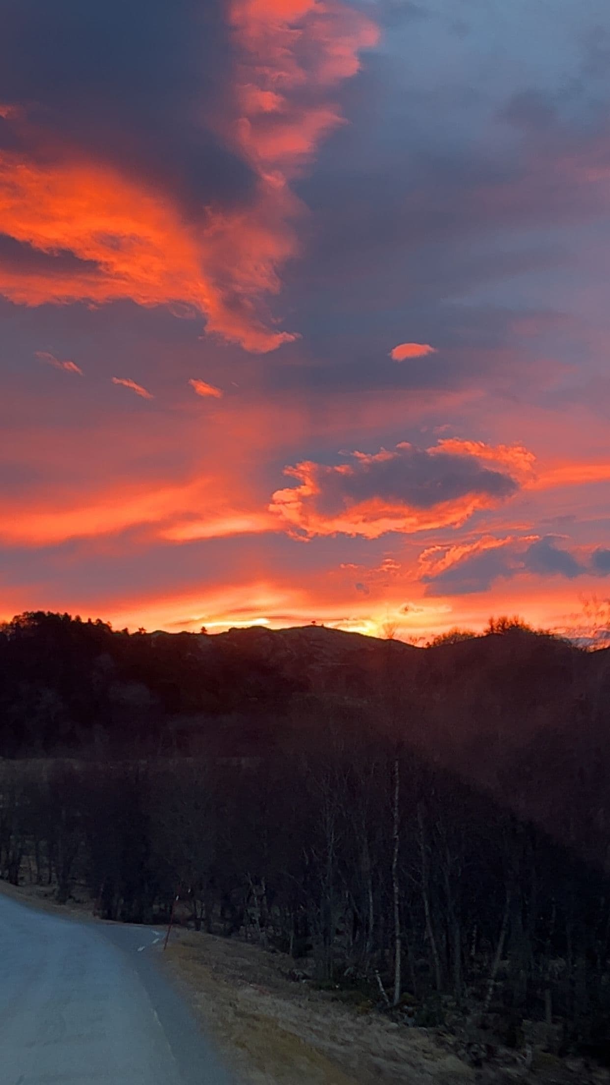 Aktivitetstiltak for eldre