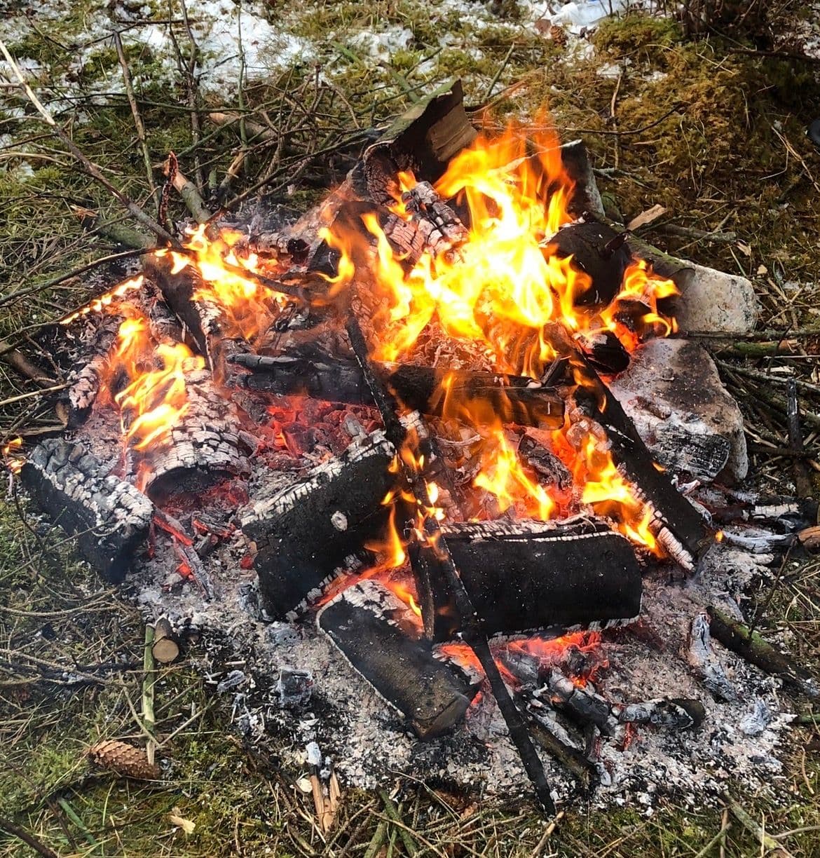 Høringer