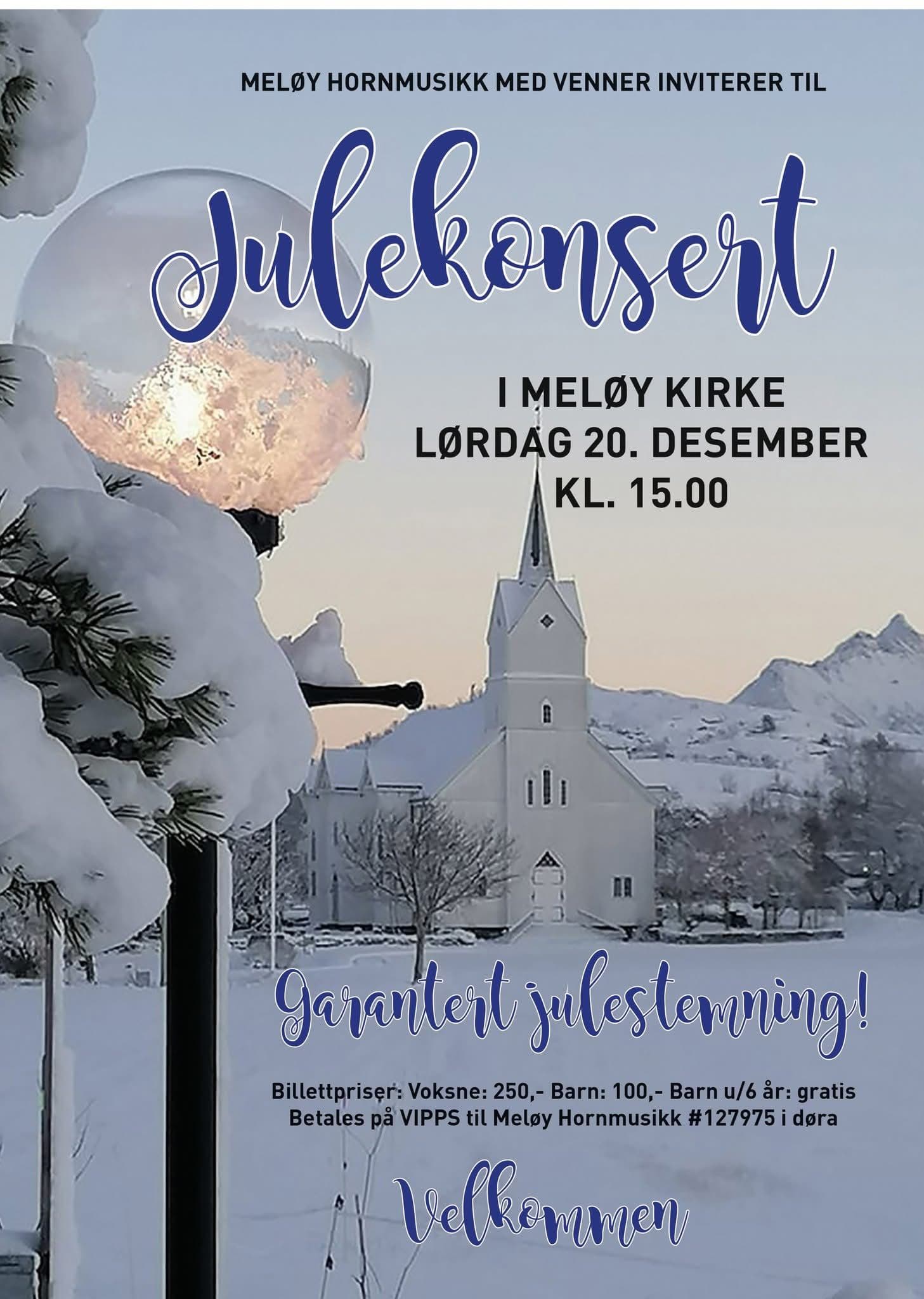 Julekonsert