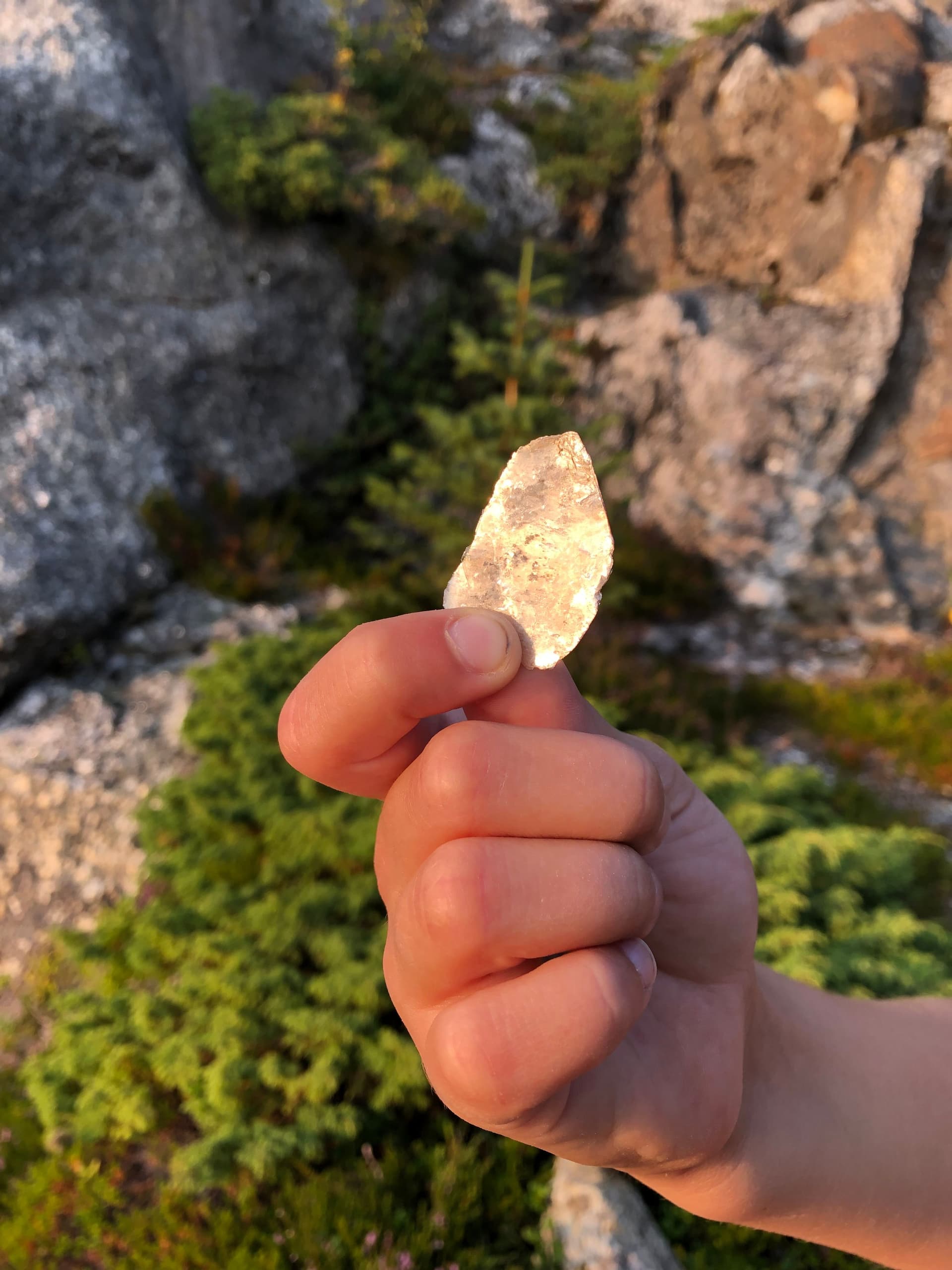 Kråkesølv på Meløysteinen